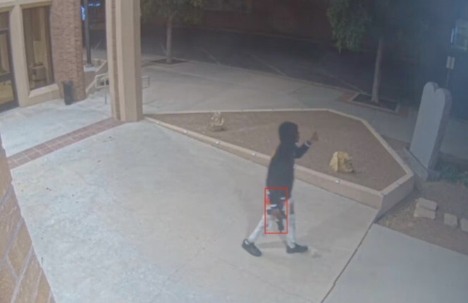ZeroEyes Gun Detection
